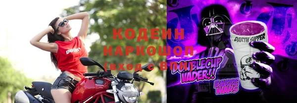 шишки Гусев