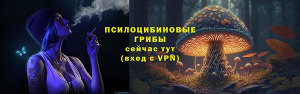шишки Гусев