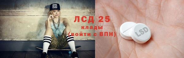 шишки Гусев