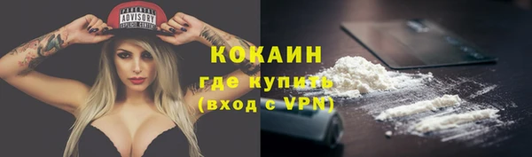 spice Алексин