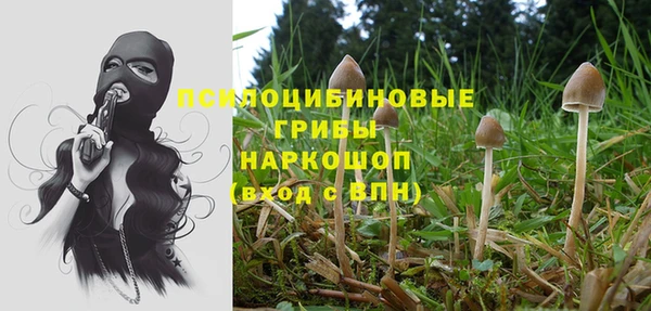 кокаин Алексеевка